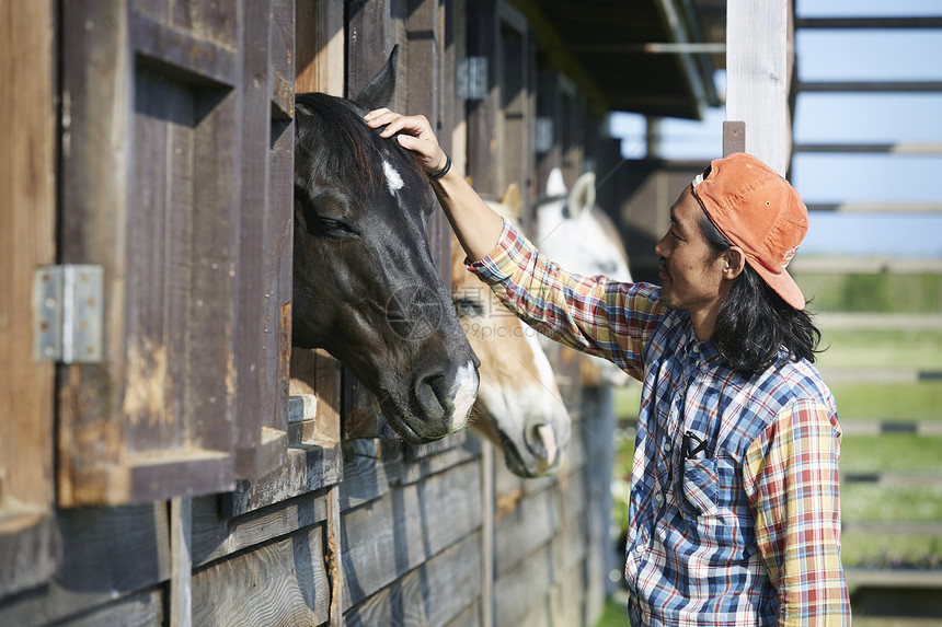 牧场饲养马匹的工人图片