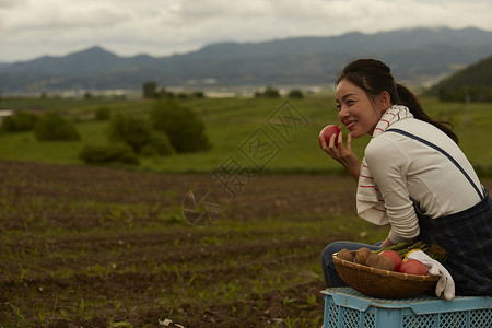 农场农民美女收获番茄图片