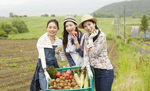 农场菜园劳作的女孩们高清图片