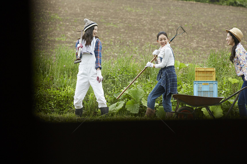 农地里劳作的女青年们图片
