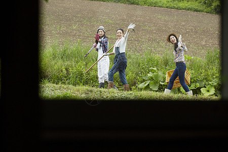 农地里劳作的女青年们图片