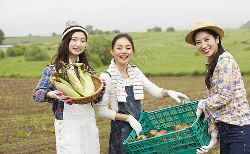 农田体验农田拿着农产品的3个女孩画像背景