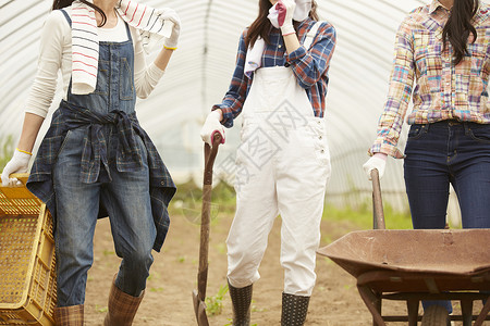 蔬菜大棚用农具工作的3个女孩图片