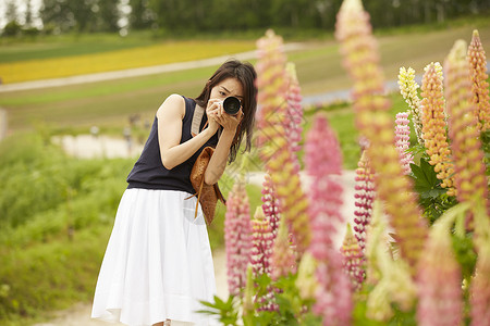 穿着长裙给花卉拍照的女人图片