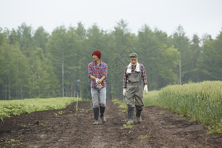 在田野里散步的农民产业工人高清图片素材