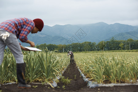 工作时候的农民图片