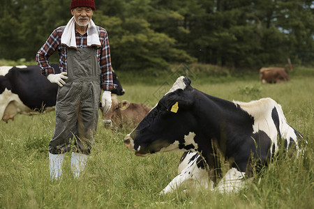 畜牧业退休农户画像图片