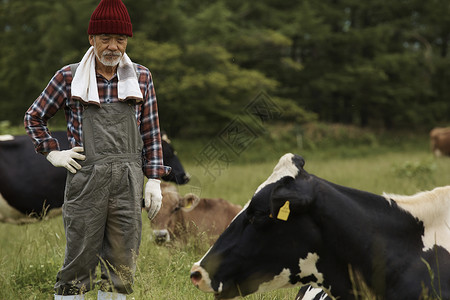 畜牧业退休农户画像图片