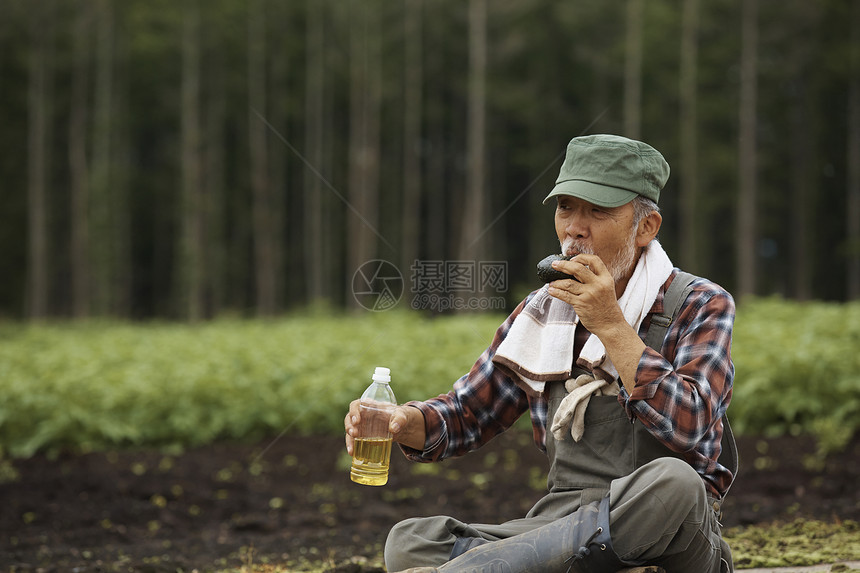 在田野间喝水的农民图片