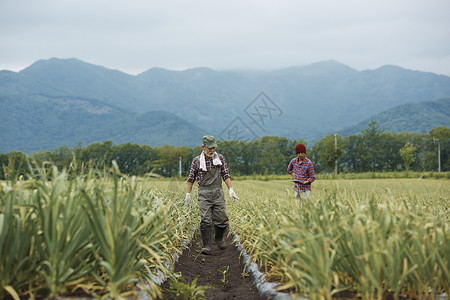 农场家庭父母工作风景图片