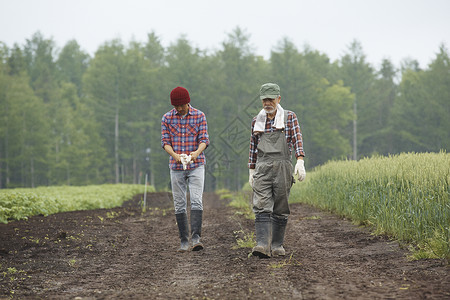 在牧场工作的男性农民农作高清图片素材