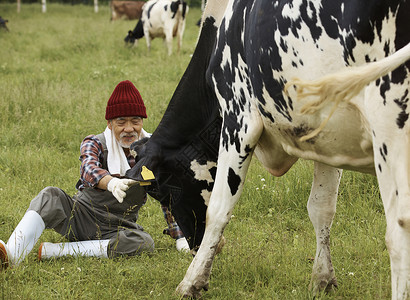 坐在草地上抚摸奶牛的牧民图片