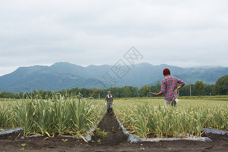 田间劳作的农民图片