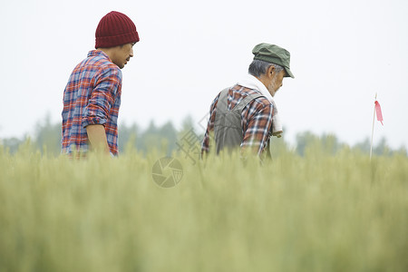 田间行走的农民图片