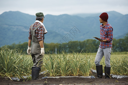 在牧场工作的男性农民农事高清图片素材
