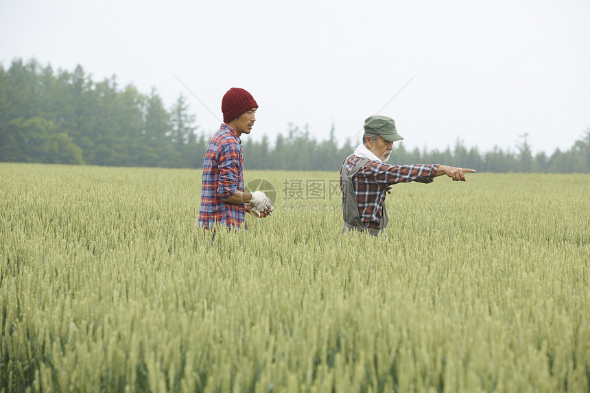 乡下农场两个男人工作的风景图片
