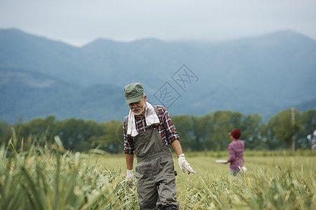 农民在田间劳作热情高清图片素材