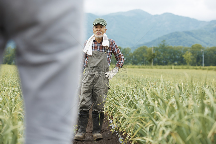 田间务农的农夫图片