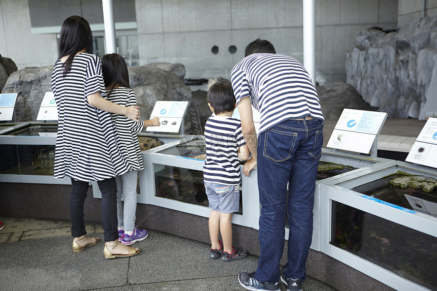 一家四口准备进入水族馆游玩图片