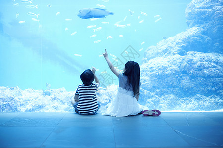 唇鱼波状在水族馆看海洋生物的兄妹背影背景