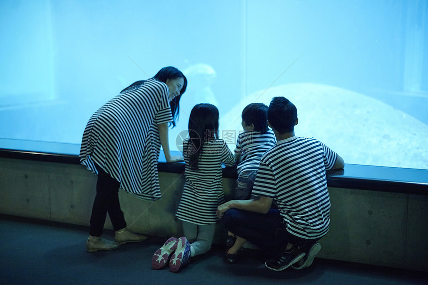 在水族馆看海洋生物的一家四口背影图片