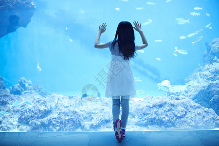 女孩在水族馆观光高清图片