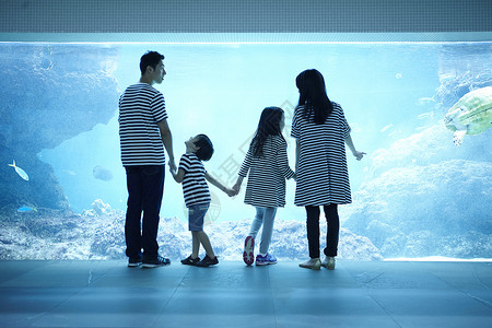 一家人参观水族馆图片