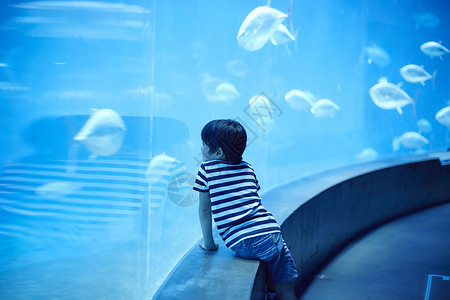 水族馆看鱼的小男孩图片