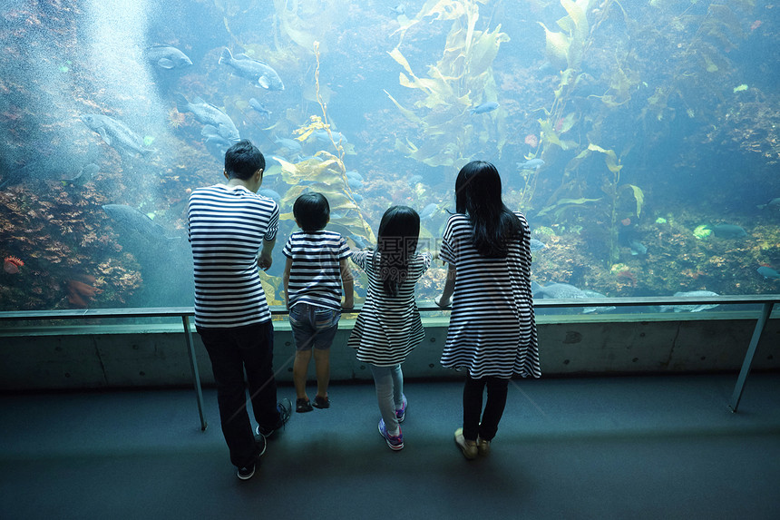 参观水族馆的一家四口图片