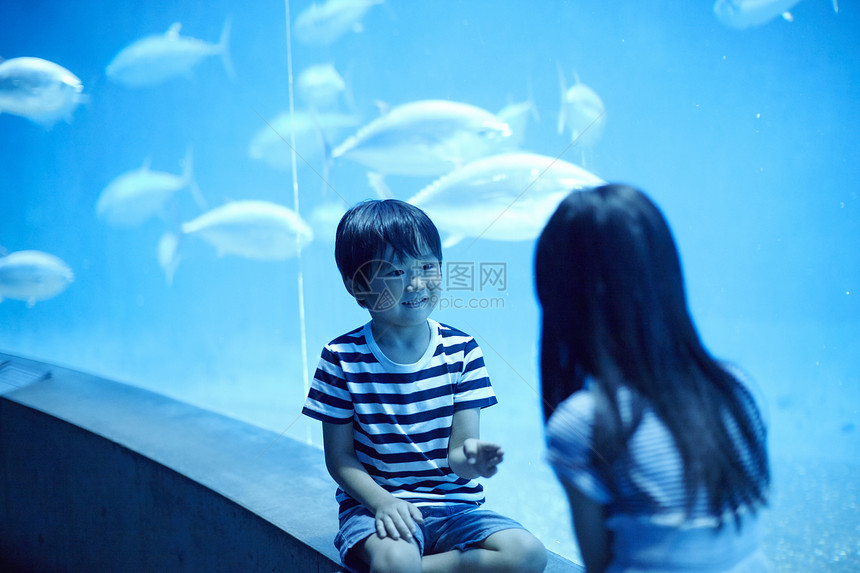 水族馆看鱼的一对兄妹图片