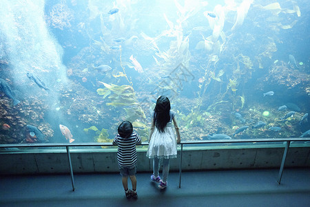 一家人日本人一家人在水族馆玩耍背景