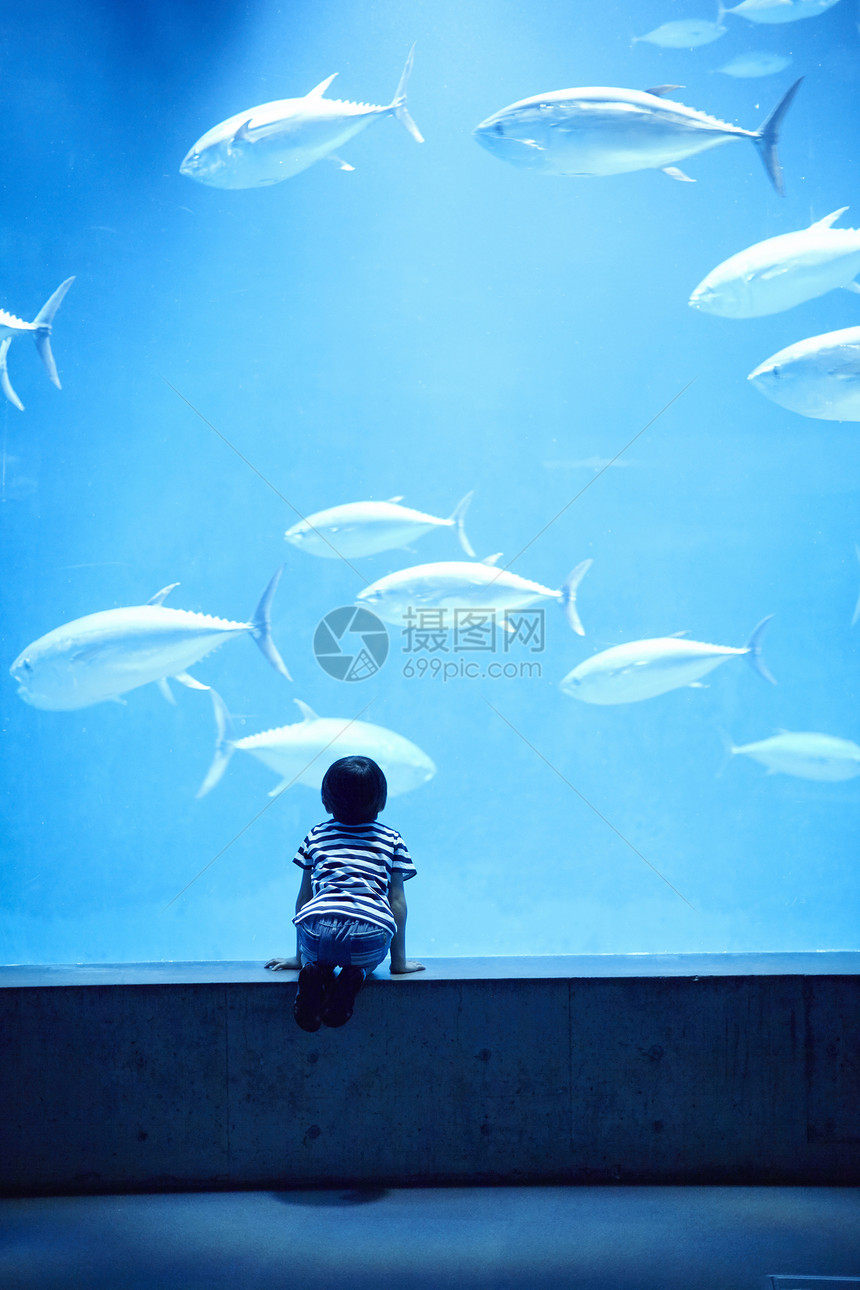 水族馆看鱼的小男孩图片