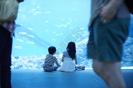 水族馆看鱼的兄妹图片