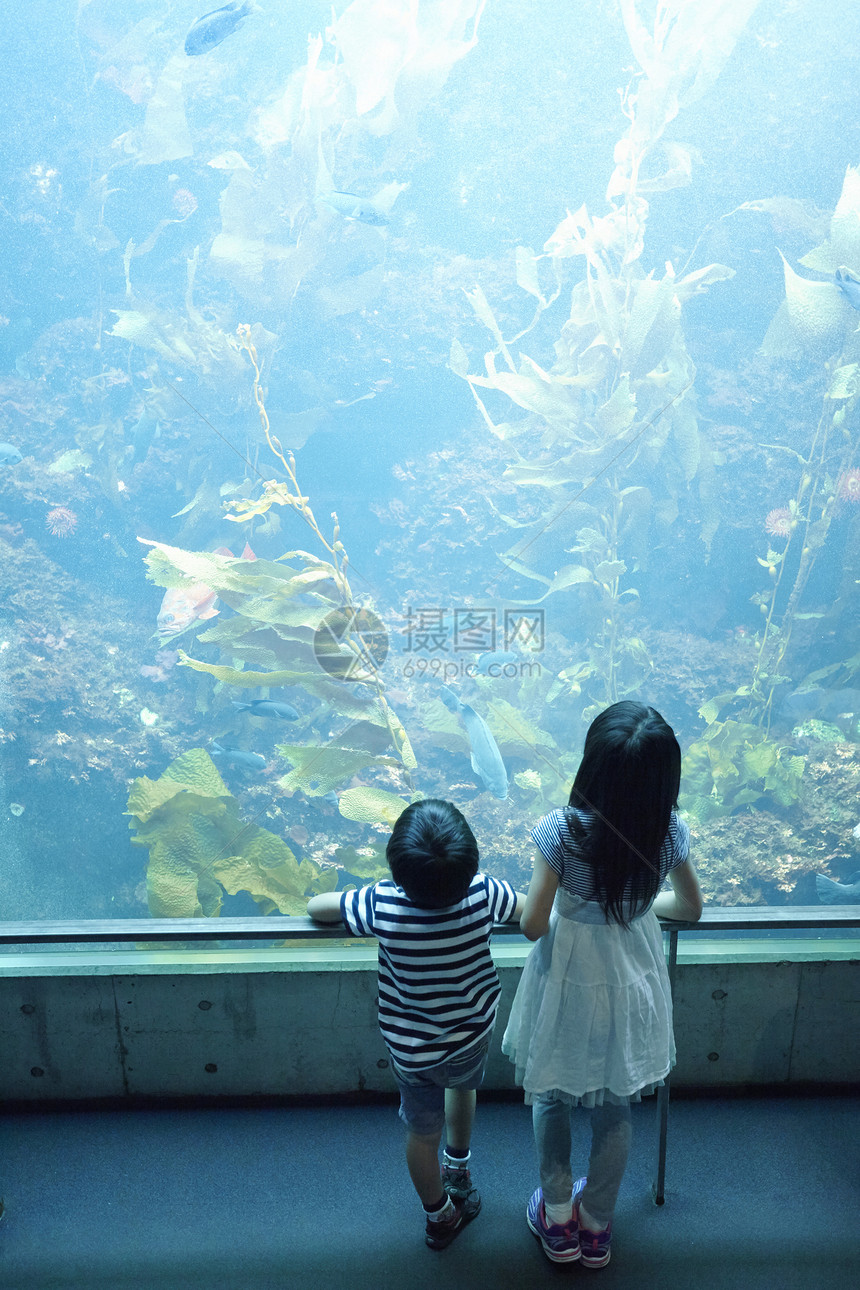 水族馆看鱼的兄妹图片