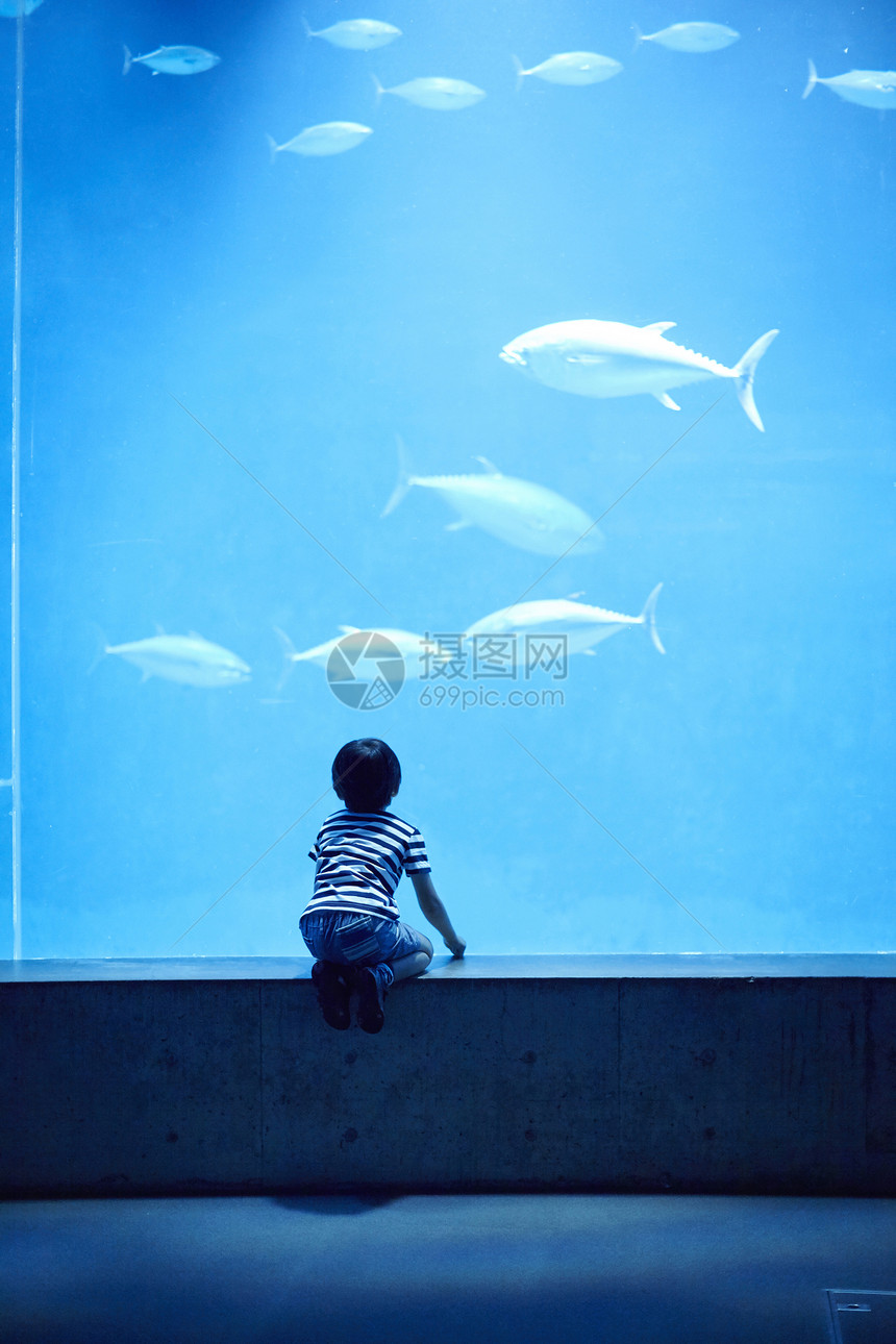 水族馆看鱼的小男孩图片