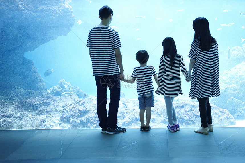 参观水族馆的一家四口图片