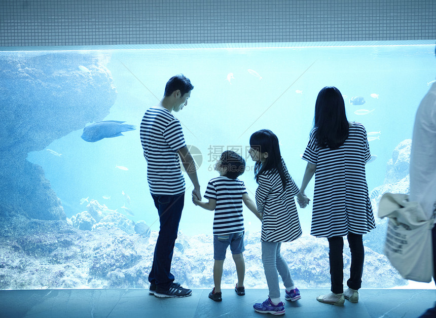 水族馆游玩的一家四口图片