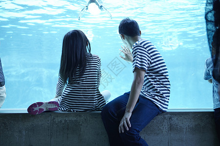 人与企鹅海洋水族馆观光的父女背景