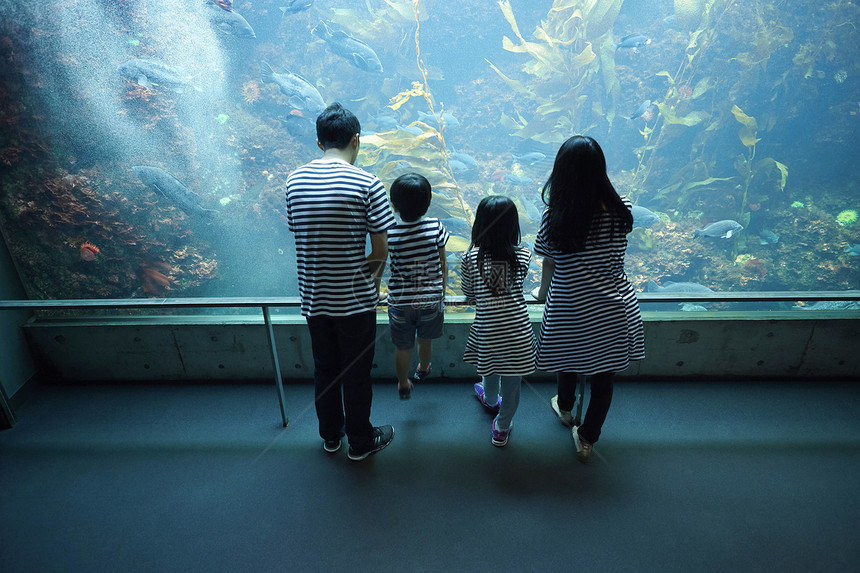 参观海洋水族馆的家庭图片