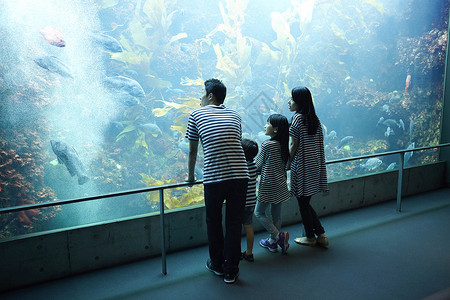 逮鱼孩子参观海洋水族馆的家庭背景