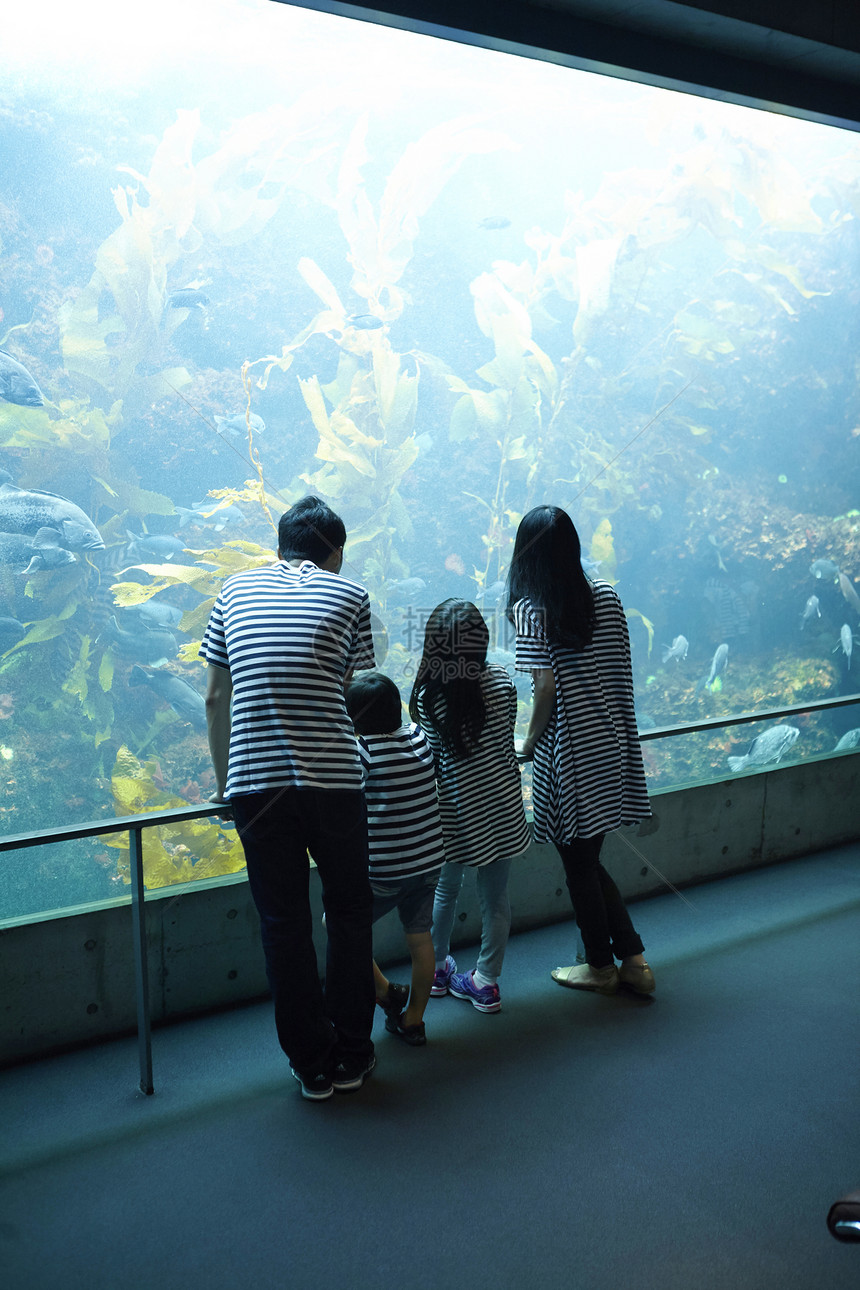 参观海洋水族馆的家庭图片