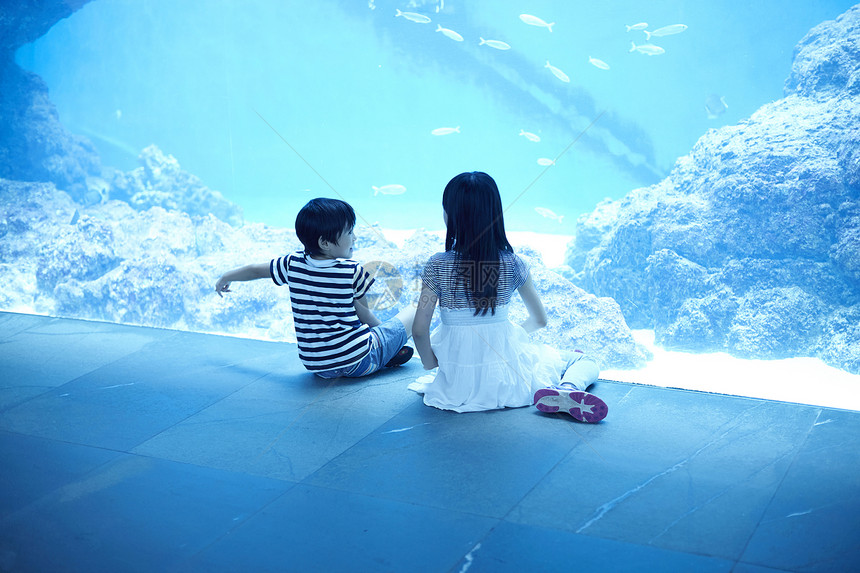 水族馆看鱼的姐弟图片