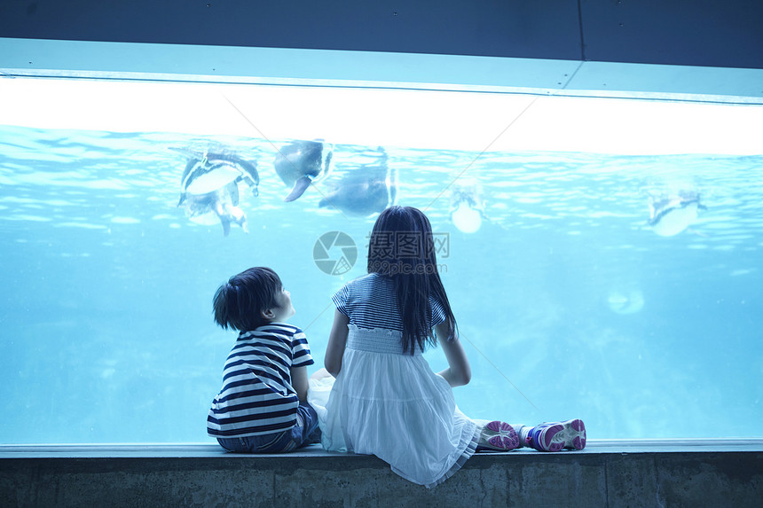 水族馆看鱼的姐弟图片