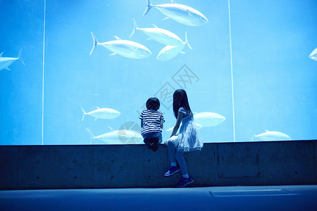 水族馆看鱼的姐弟图片