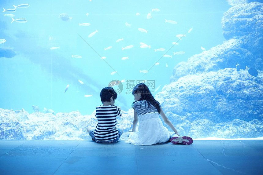 水族馆看鱼的姐弟图片