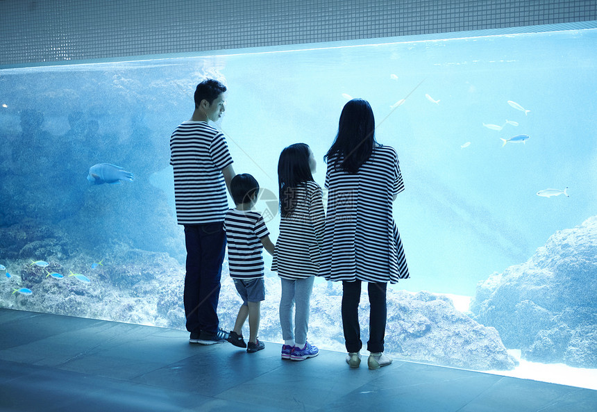 参观水族馆的一家四口图片