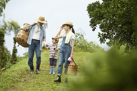大人陪同孩子体验农村暑假生活背景图片