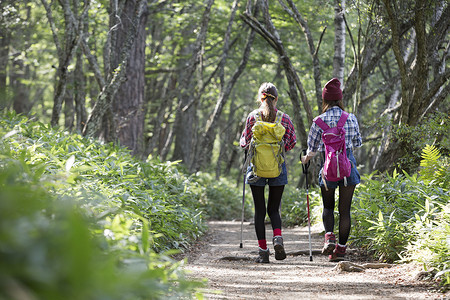山野女孩森林中徒步旅行的两名女性背景