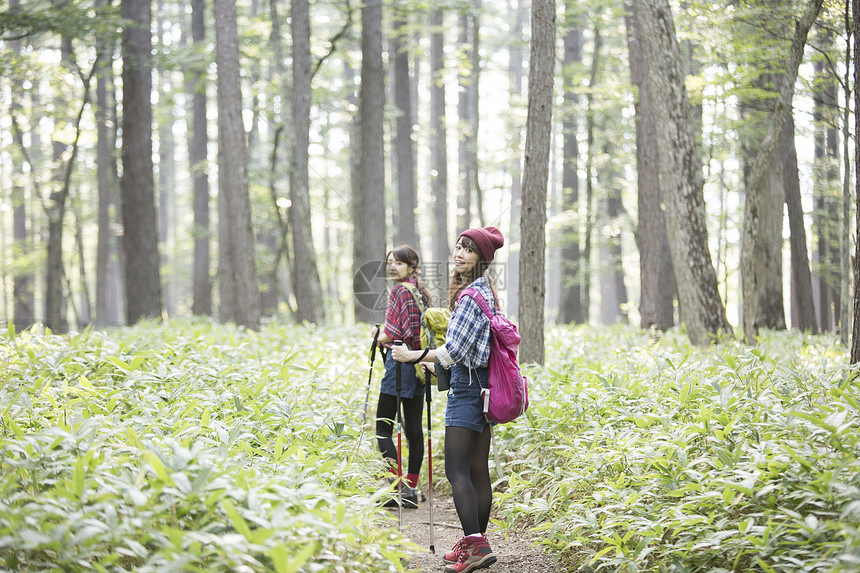 日照阳光生机勃勃女人徒步旅行图片