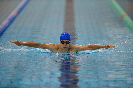  泳池游泳的运动员图片